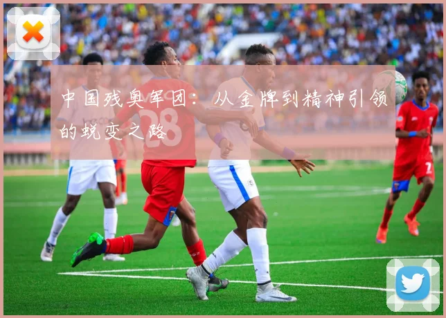 中国残奥军团：从金牌到精神引领的蜕变之路