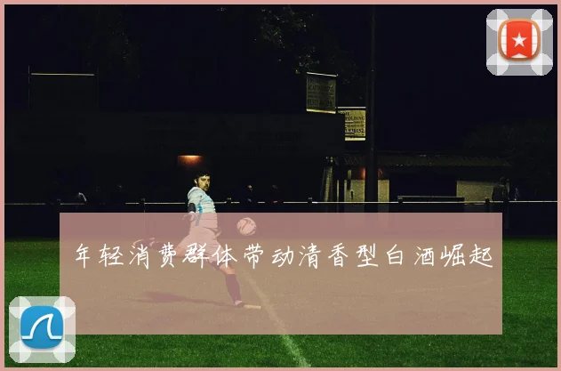 年轻消费群体带动清香型白酒崛起