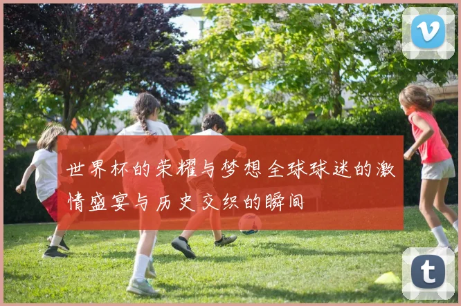 世界杯的荣耀与梦想全球球迷的激情盛宴与历史交织的瞬间