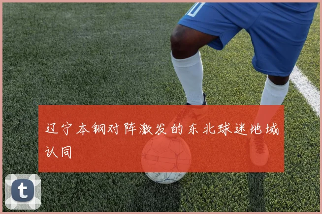 辽宁本钢对阵激发的东北球迷地域认同