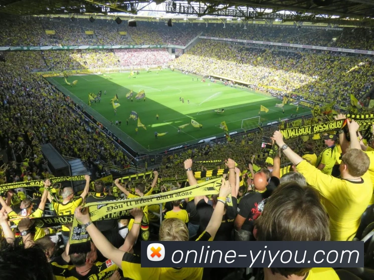 易游APP 体育赛事宣传图